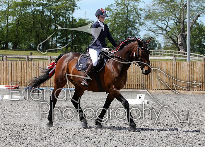 Novice155