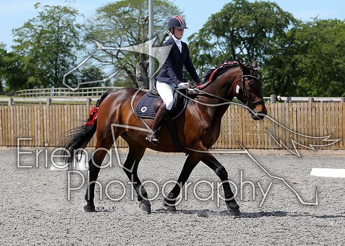 Novice156