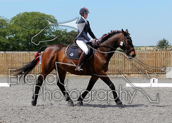 Novice158
