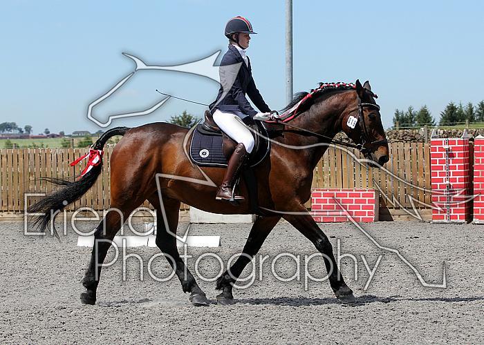 Novice159
