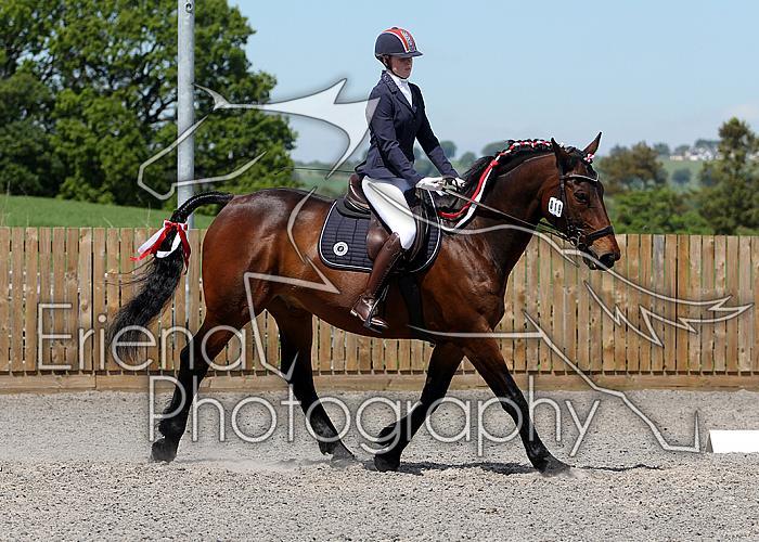 Novice163