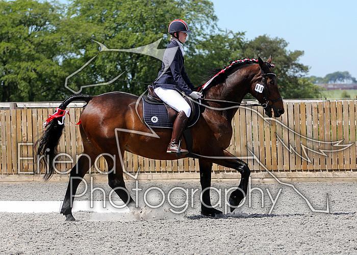 Novice165