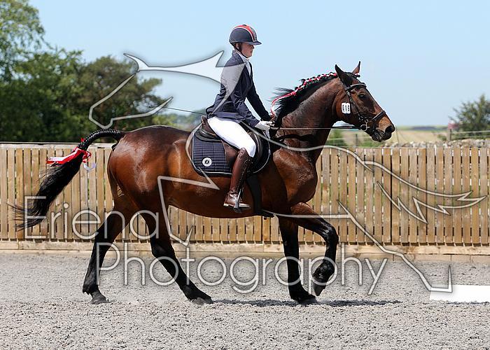 Novice166