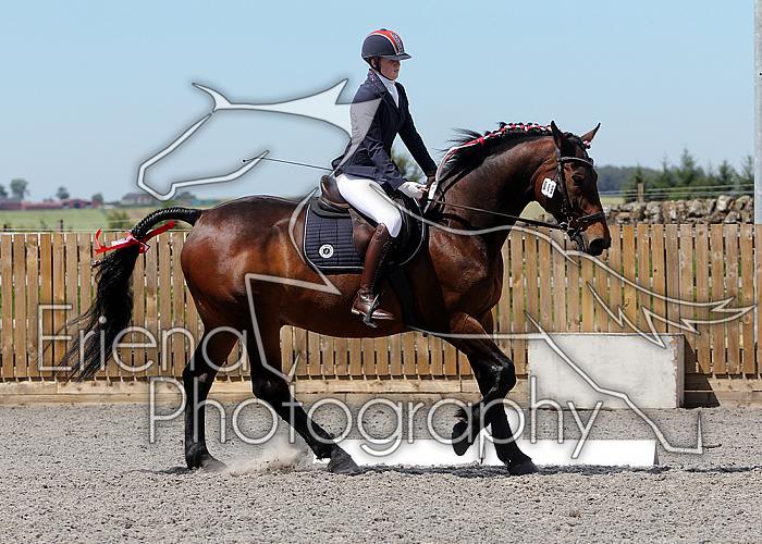 Novice167
