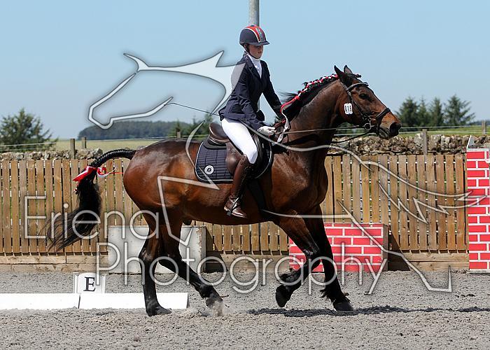 Novice168