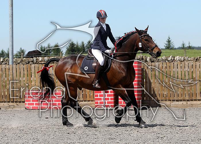 Novice169
