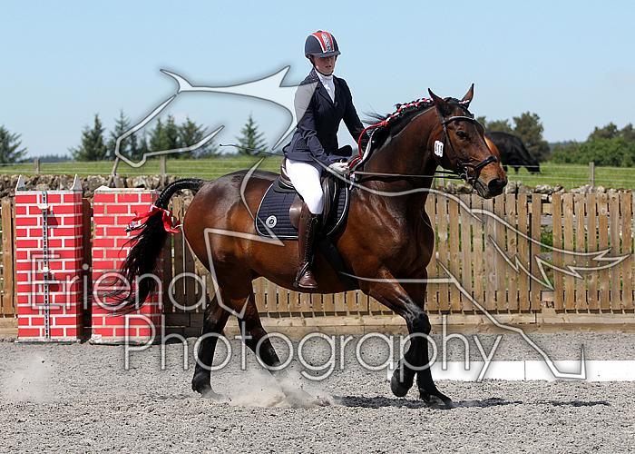 Novice170