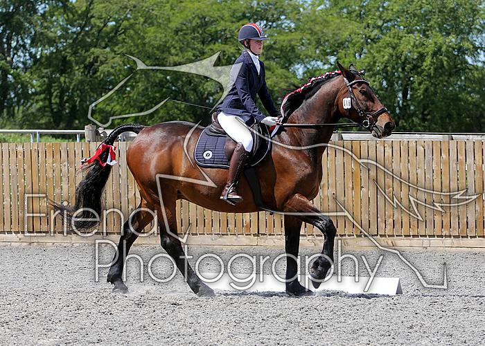 Novice172