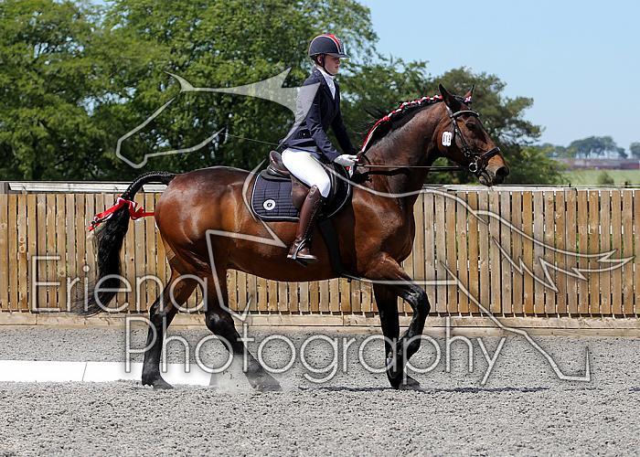 Novice173