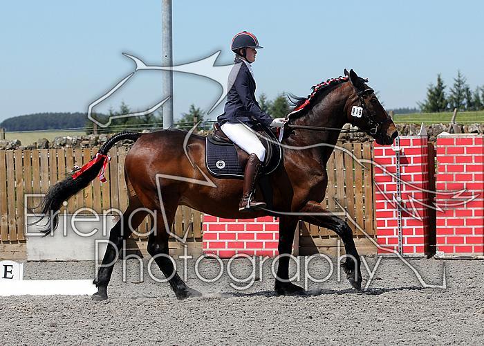 Novice174