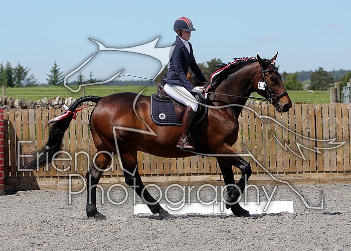 Novice175