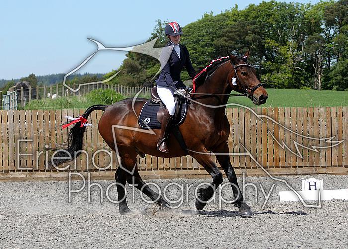 Novice176