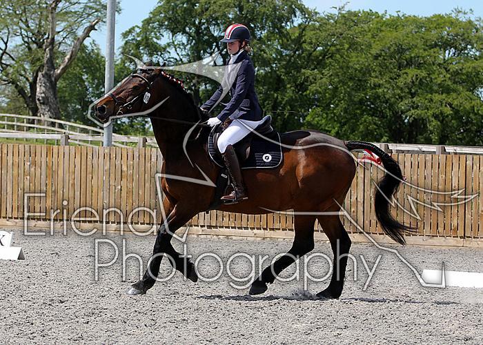 Novice180