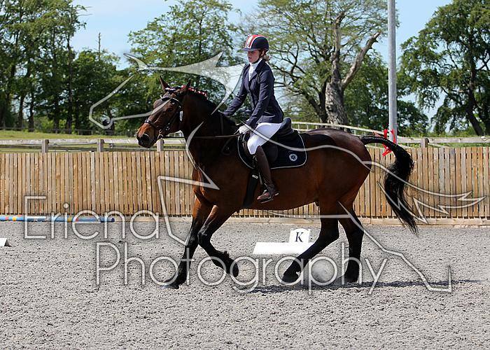 Novice181