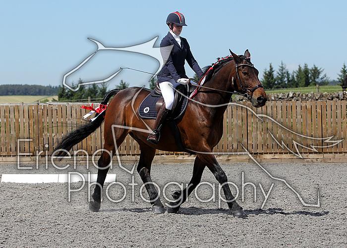 Novice191