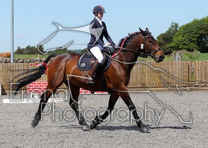 Novice193