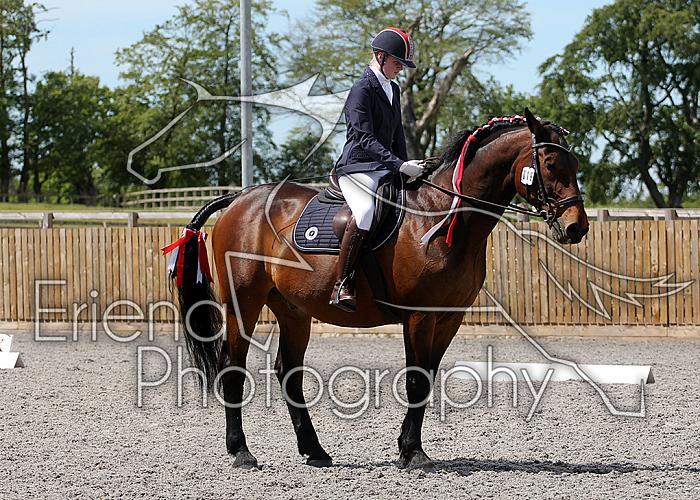Novice196