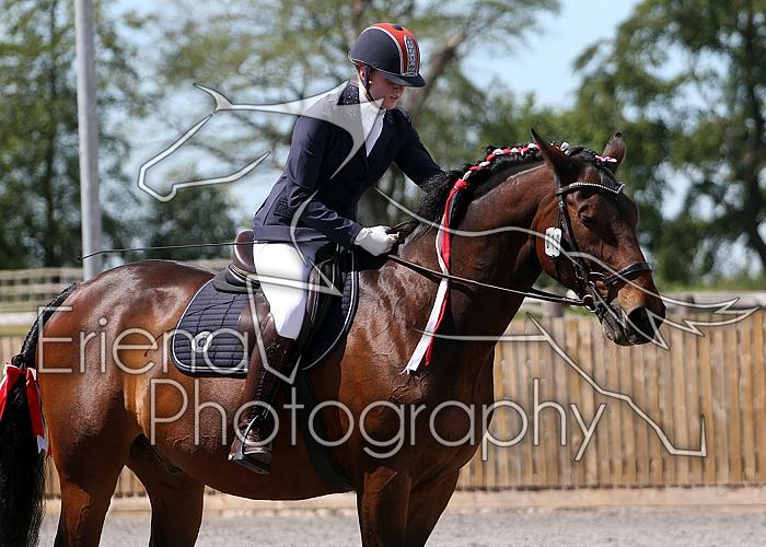 Novice197