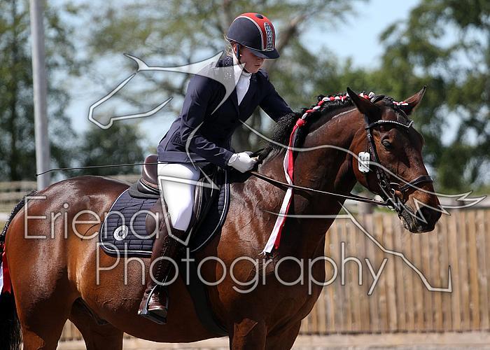 Novice198