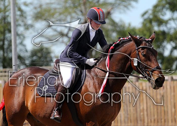 Novice199