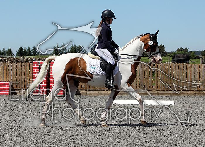Novice201