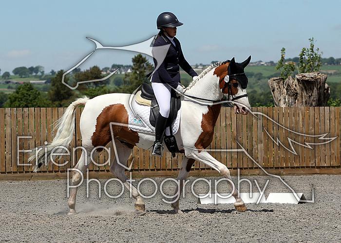 Novice203
