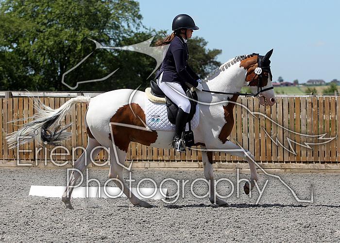 Novice205