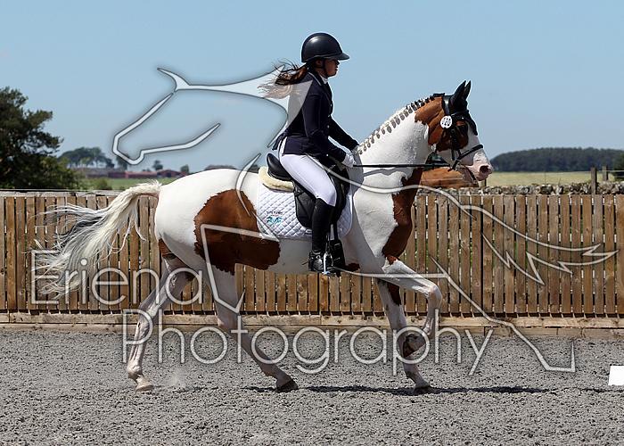 Novice206