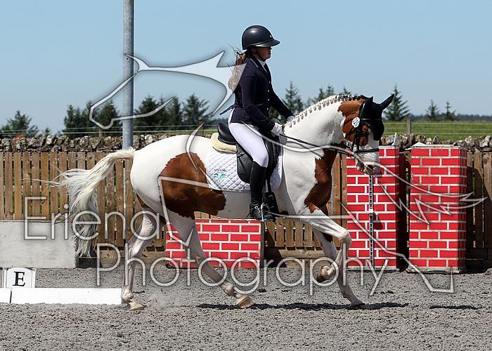 Novice208