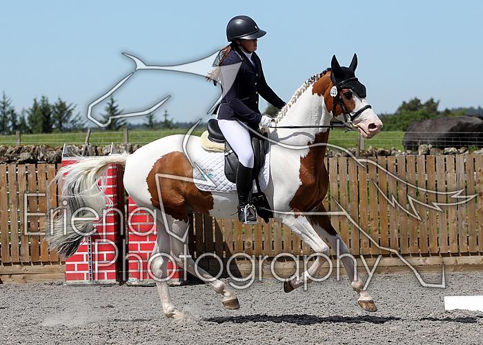 Novice209