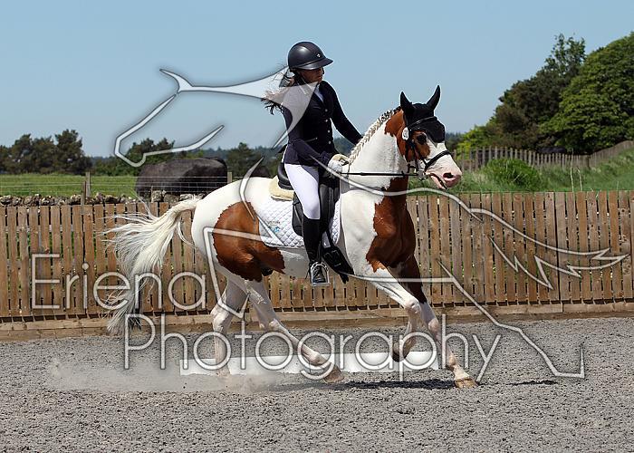 Novice210