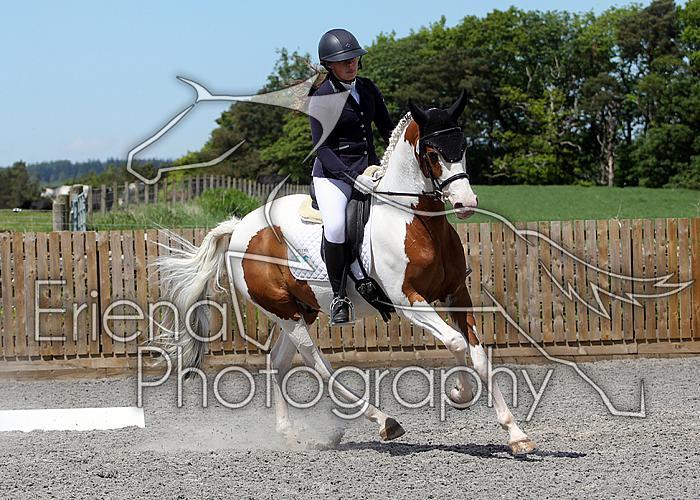 Novice211