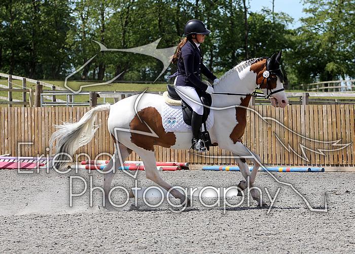 Novice212