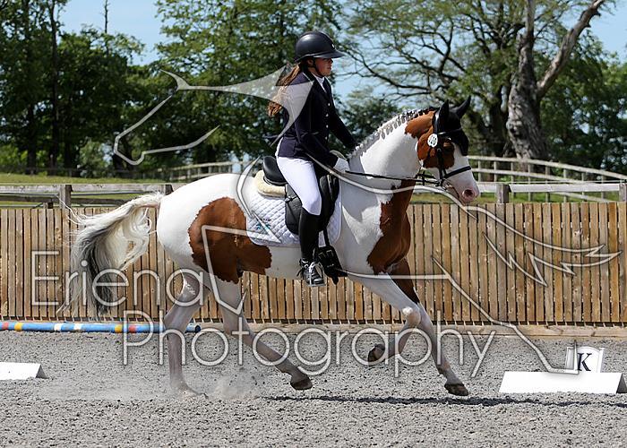 Novice213