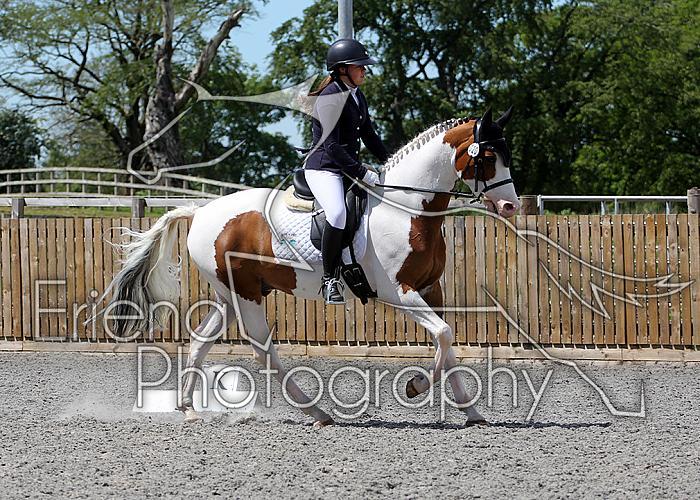 Novice214