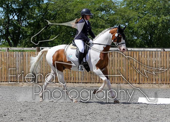 Novice215
