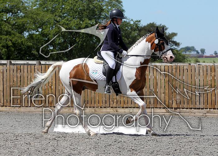 Novice216
