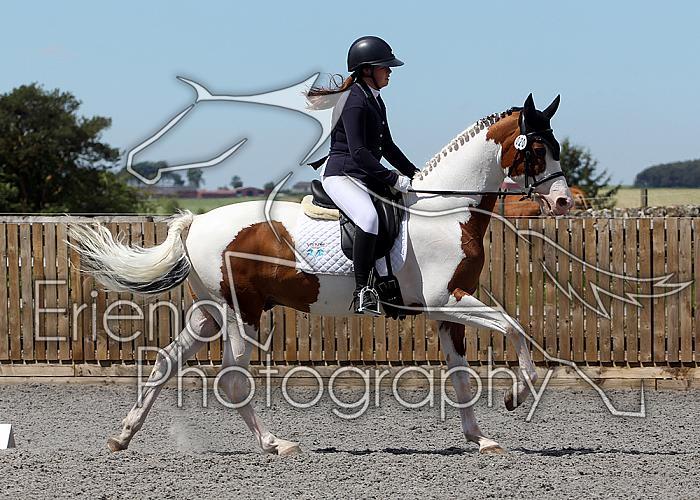Novice217