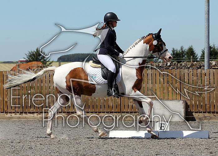 Novice218