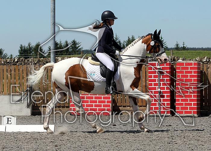 Novice219