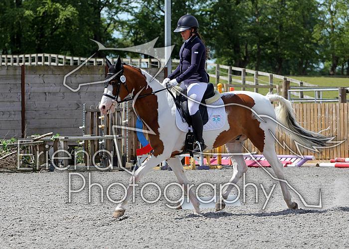 Novice221