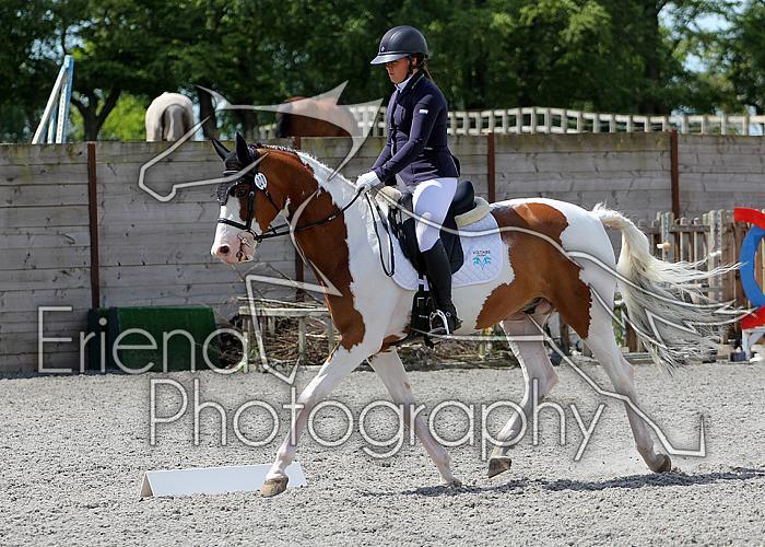 Novice222