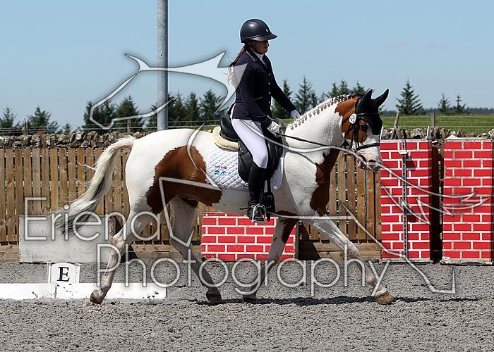 Novice223