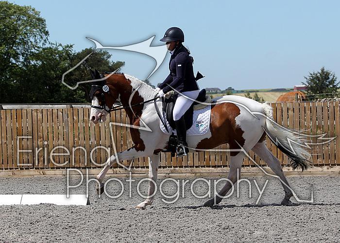 Novice225