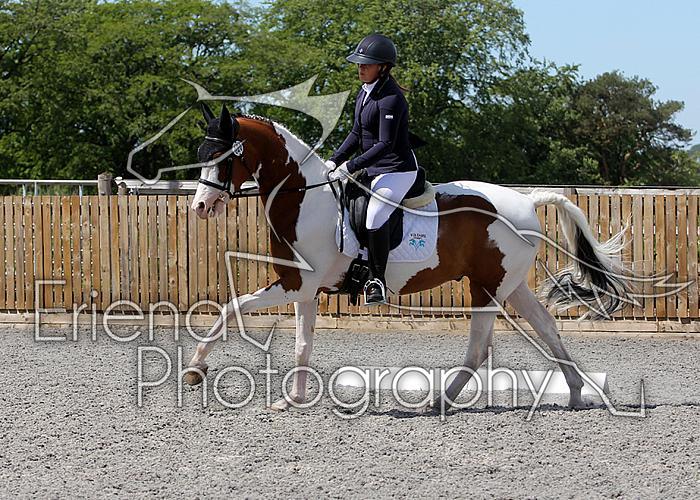 Novice226