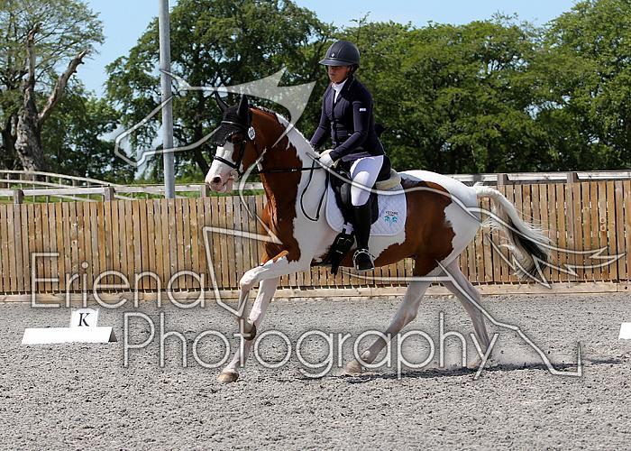 Novice227