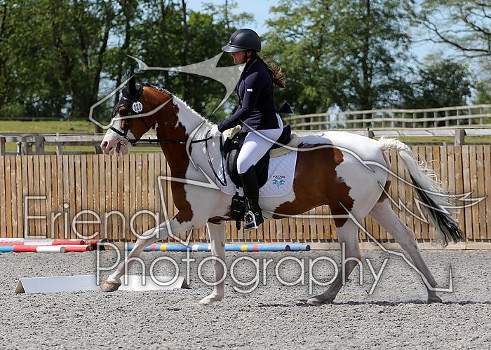 Novice228