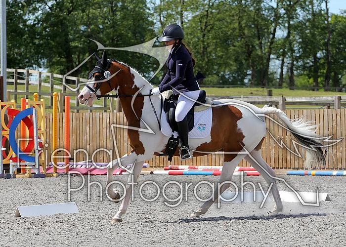 Novice229