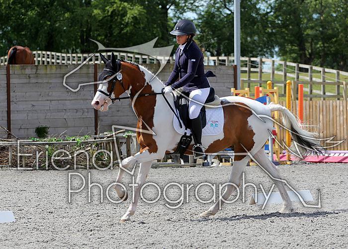 Novice230