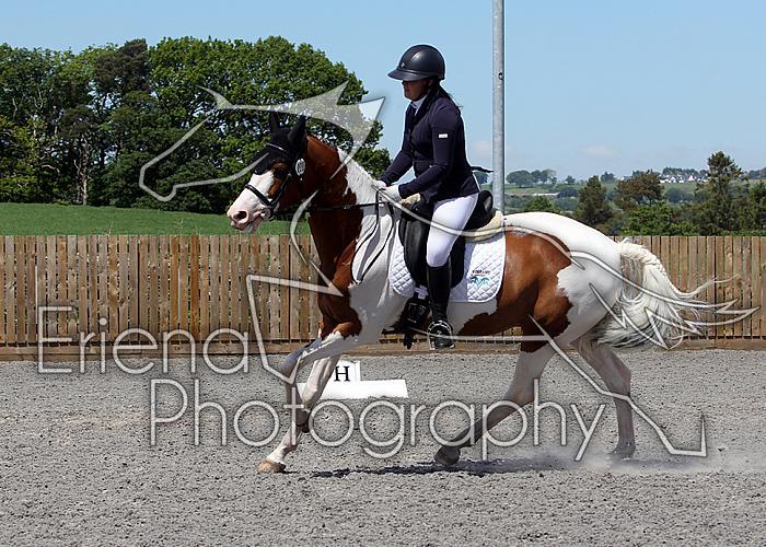 Novice231